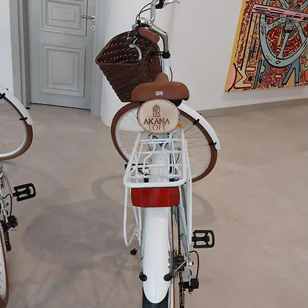 Akana Loft Appart hôtel 4*