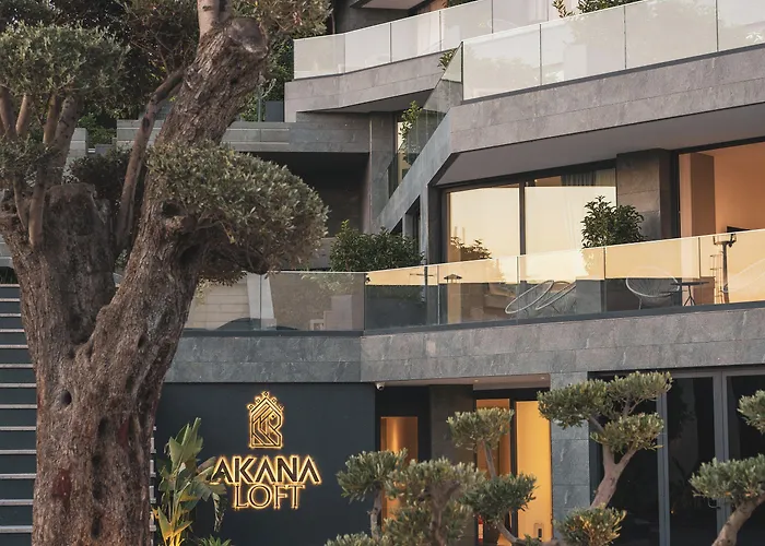 Akana Loft Apartahotel 4*